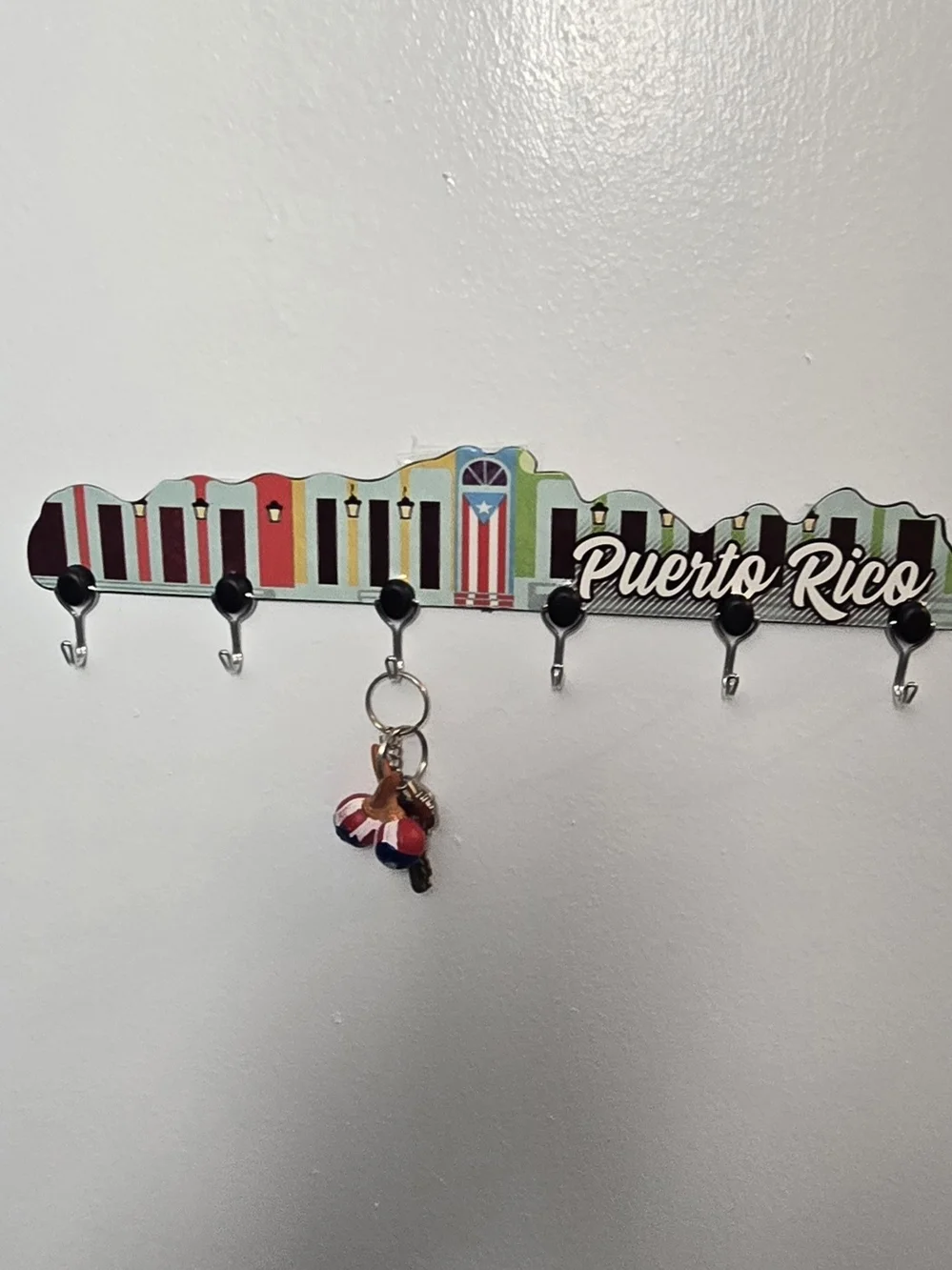 Puerto Rico Colorful Door Wall Hook Rack - Black & Multicolor